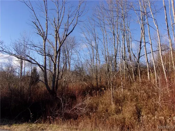 Ellicottville, NY 14731,5338 Bryant Hill RD
