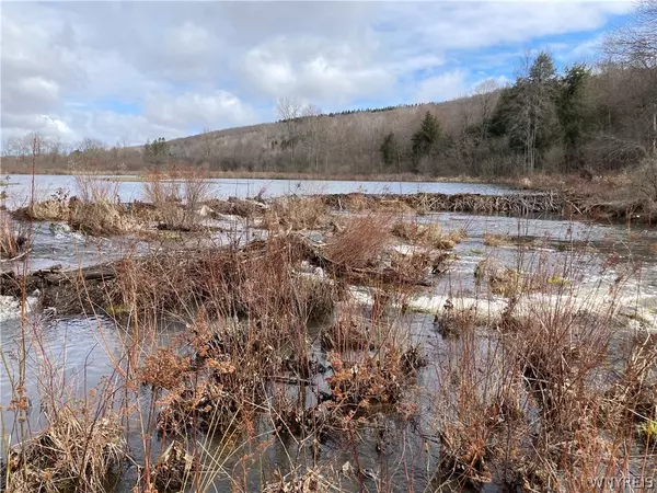 Canaseraga, NY 14822,9320 Cr-16 RD