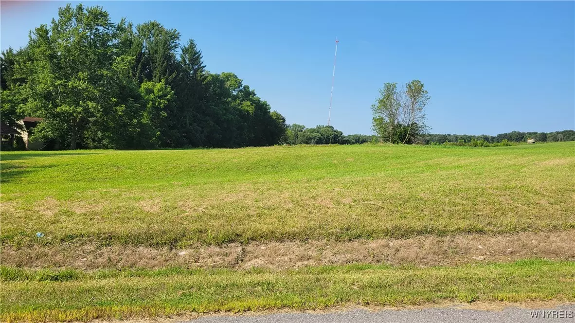 Pavilion, NY 14525,0 Dillon RD