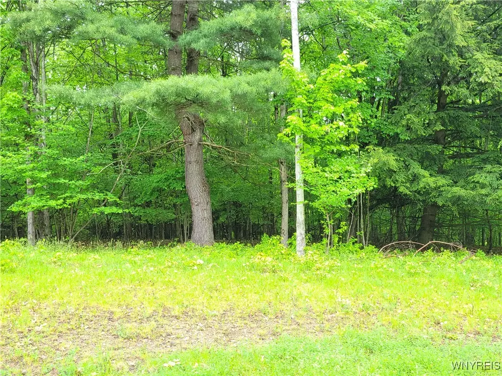 Swain, NY 14884,0 Cr-24- Lot 18