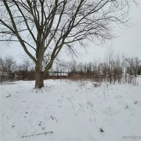 Lockport, NY 14094,50 Briarwood DR