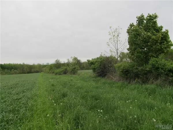 Akron, NY 14001,11621 Hunts Corners RD