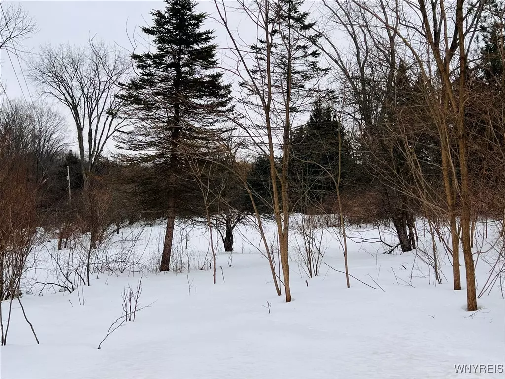 West Falls, NY 14170,2194 Grover RD