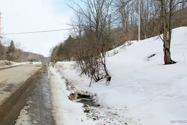 Ellicottville, NY 14731,VL Dublin RD