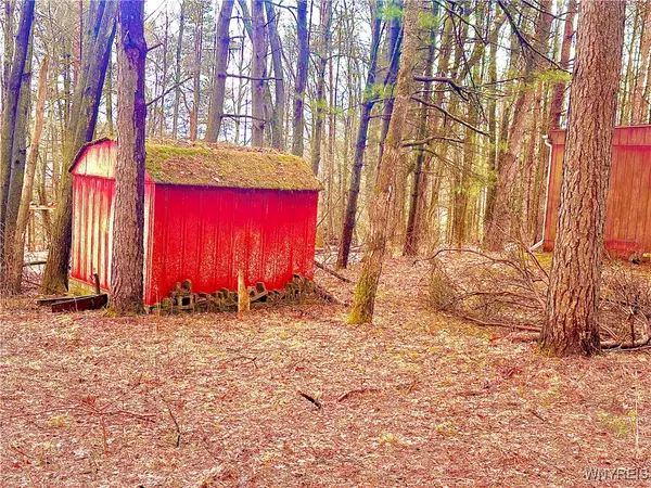 Cuba, NY 14727,3634 Pine Ridge RD