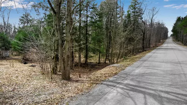 Warsaw, NY 14569,3436 Dunham RD