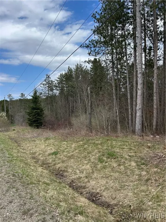 Holland, NY 14080,Warner Gulf RD