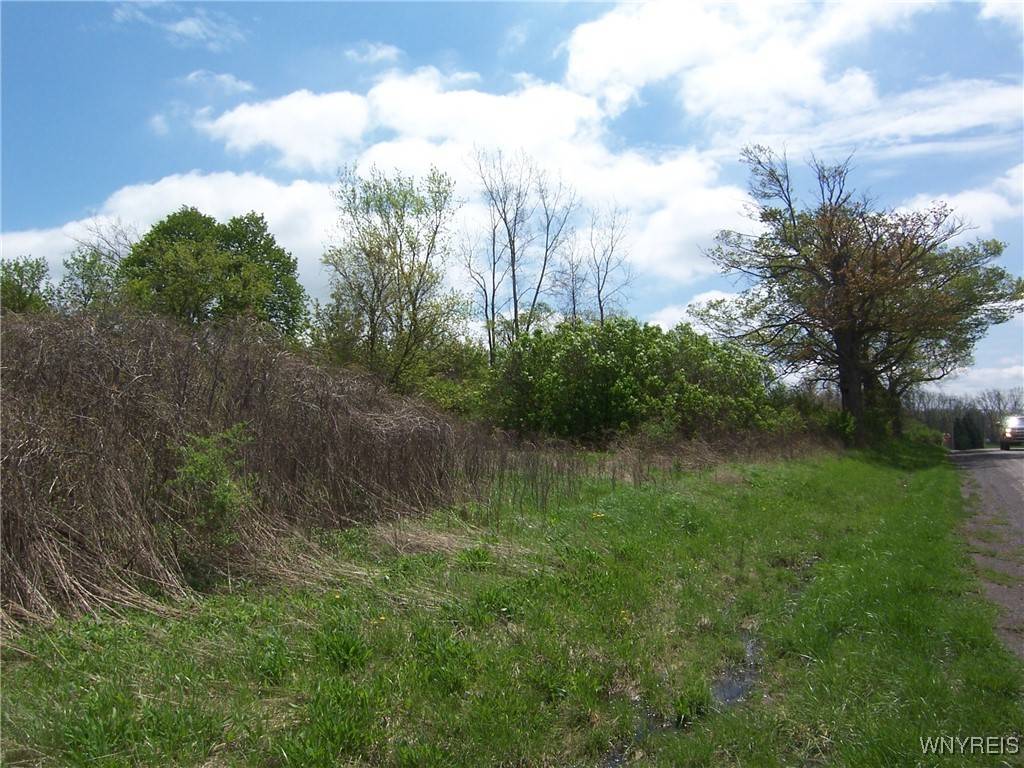 Batavia, NY 14020,0 Pearl & Wortendyke RD