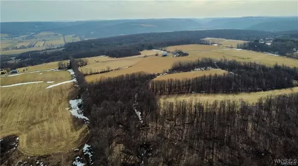 Leon, NY 14138,7839 Kellogg Hill RD