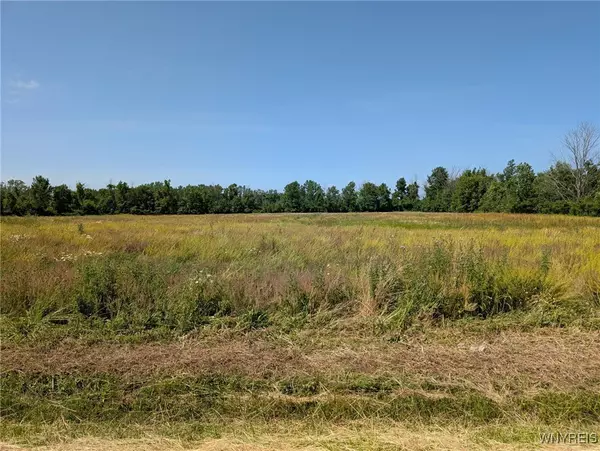 Newfane, NY 14108,Coomer RD