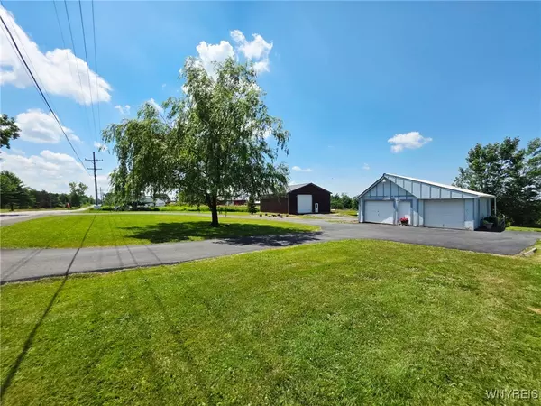 Colden, NY 14033,8242 Cole RD