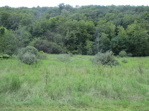 Pine City, NY 14871,161 Lewis RD