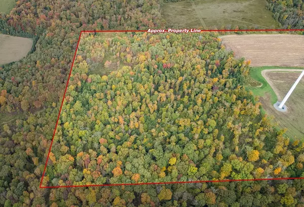 Rexville, NY 14877,0 Downey RD
