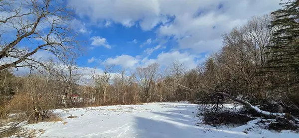 Wellsburg, NY 14894,3117 Smith RD