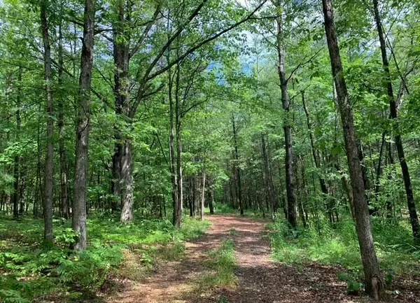 Odessa, NY 14869,0 Steam Mill RD