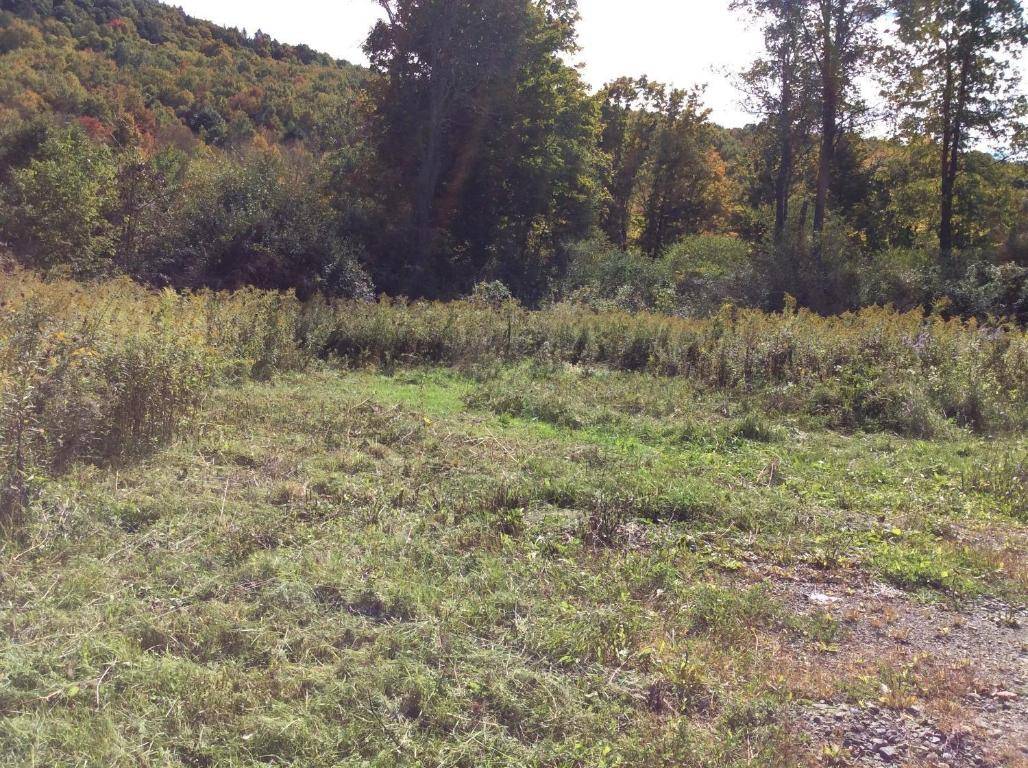 Newark Valley, NY 13811,0 15 Murphy Lane