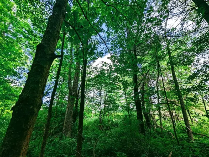 137 Caroline Depot RD, Brooktondale, NY 14817