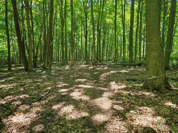 North Rose, NY 14516,0 Lake Bluff RD