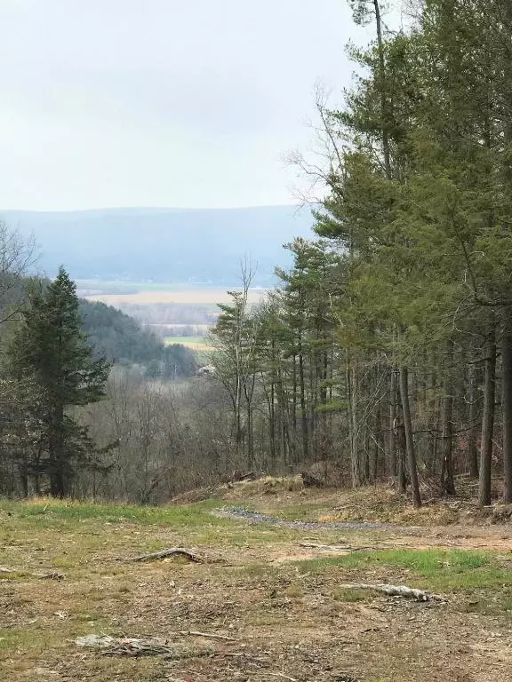 Middleburgh, NY 12122,0 Huntersland RD