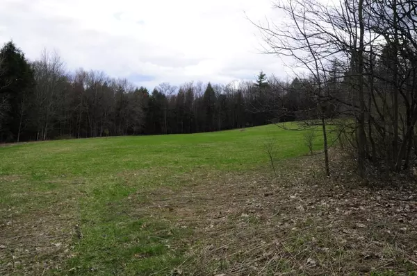 Afton, NY 13730,183 Oxbow RD