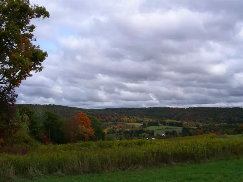 0 Morgan Hill RD, Afton, NY 13730