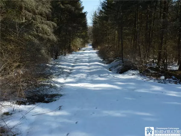 Leon, NY 14751,6266 Bluebird LN