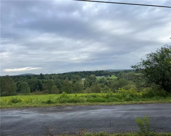 Bainbridge, NY 13780,0 Mary Lynne LN