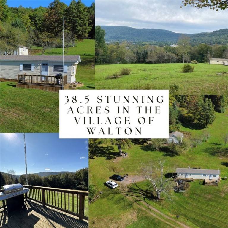 160 East ST, Walton, NY 13856