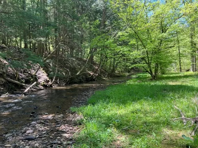 Emporium-pa, PA 15834,0 Clear Creek RD