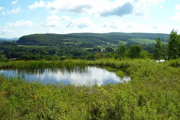 Bainbridge, NY 13733,0 Tyler St. and Cornell DR