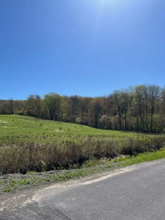 Franklin, NY 13775,4104 East Brook RD