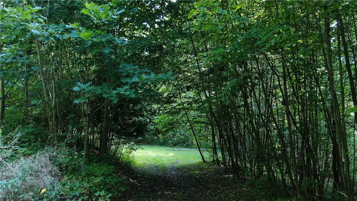 Masonville, NY 13804,1272 Pine Hill RD