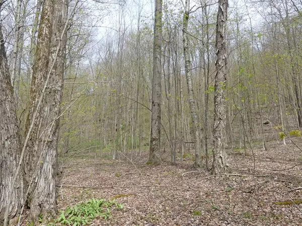 Andes, NY 13731,Lot 26 Timberland DR