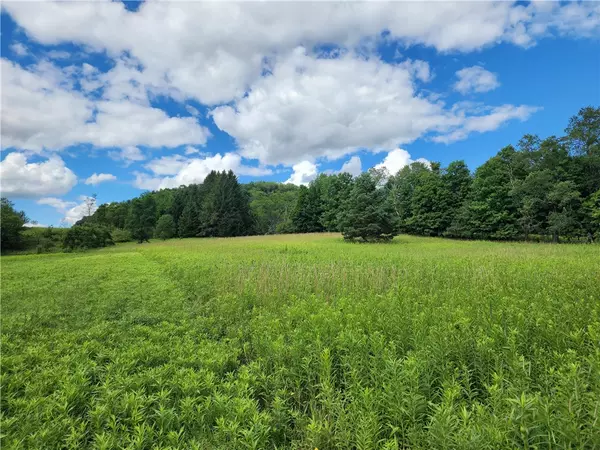Edmeston, NY 13335,49 East ST