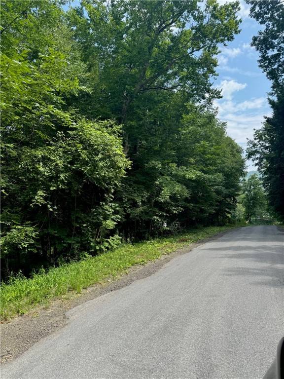 Gilbertsville, NY 13776,116 Oregon RD