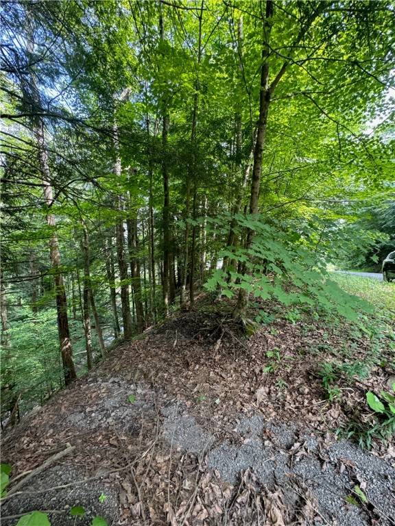 Gilbertsville, NY 13776,116 Oregon RD