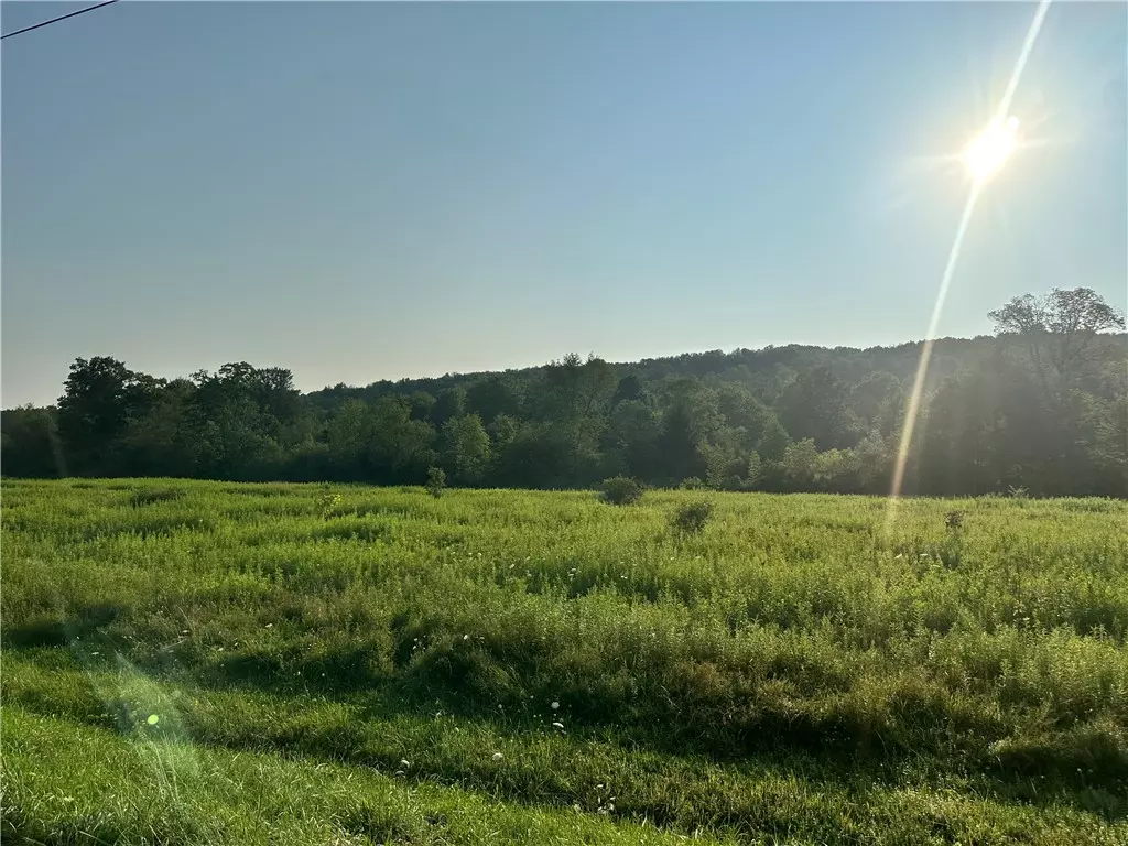 Swain, NY 14884,0 County Road 16