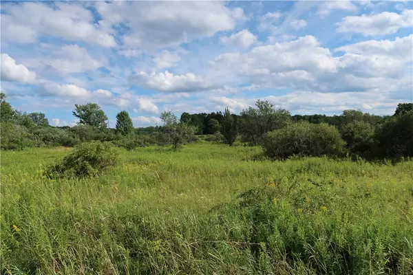 Willet, NY 13863,Lot 2 German RD