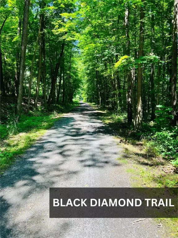 Ithaca, NY 14850,1102 Taughannock BLVD