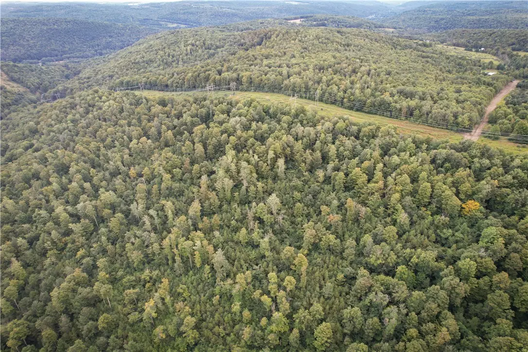 Lockwood, NY 14859,00 Doolittle RD
