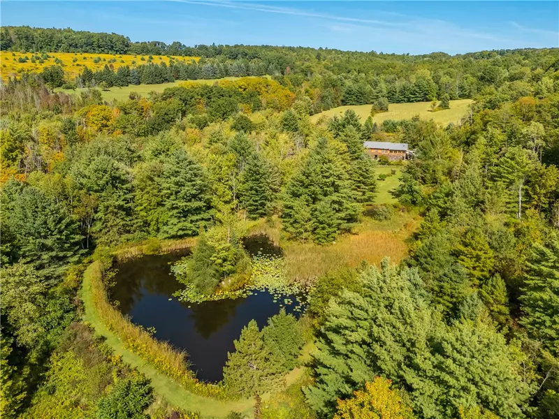 7836 Freeman Hollow RD, Bath, NY 14810