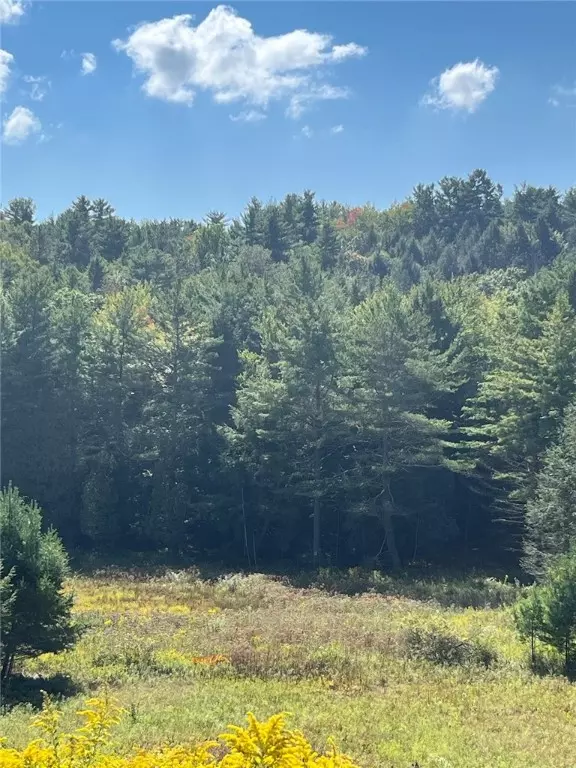 Sidney, NY 13838,4456 Parker Hollow RD