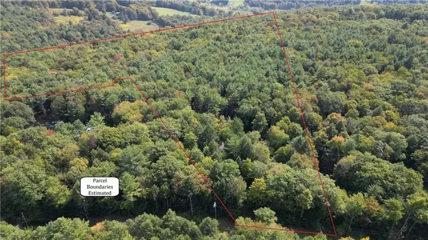 Gilboa, NY 12076,354 Robinson RD