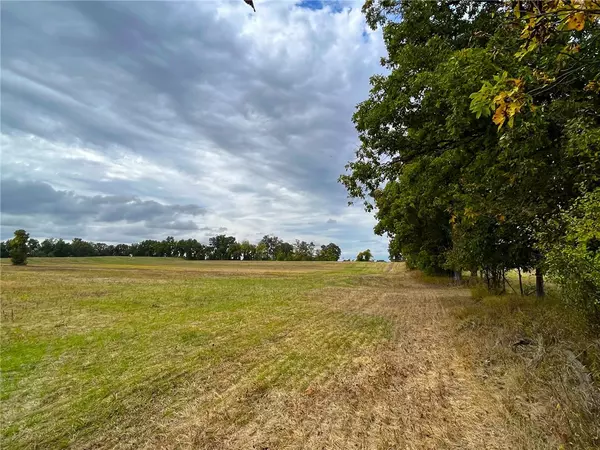 Rush, NY 14543,Lot 2 Woodruff RD