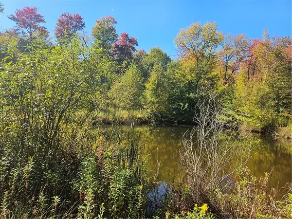 Worcester, NY 12197,2881 County Highway 39