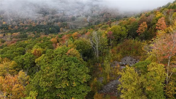 Andes, NY 13731,Lot 28.1 Shaver Hollow RD