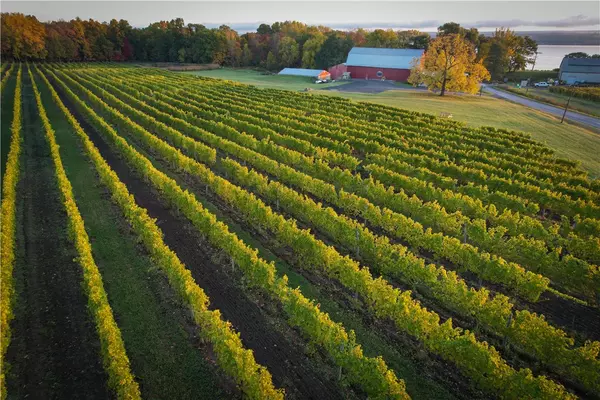 Ovid, NY 14521,6800 State Route 89
