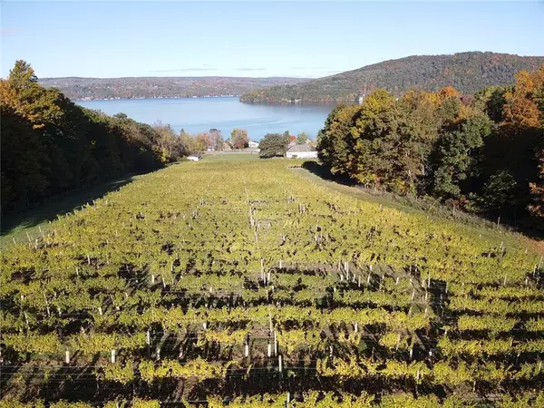 Hammondsport, NY 14840,14630 State Route 54