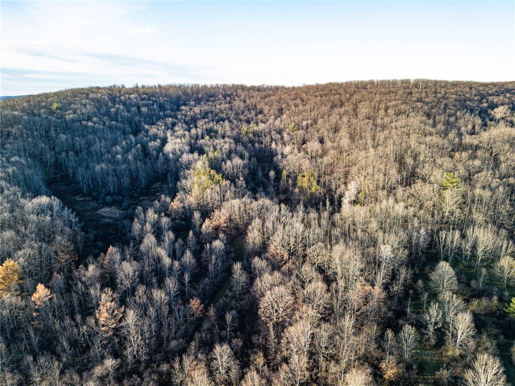 Belmont, NY 14813,0 Ingraham RD