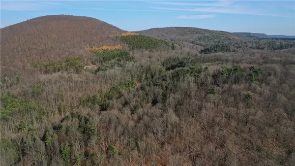 Naples, NY 14512,0 Rt-53 RD